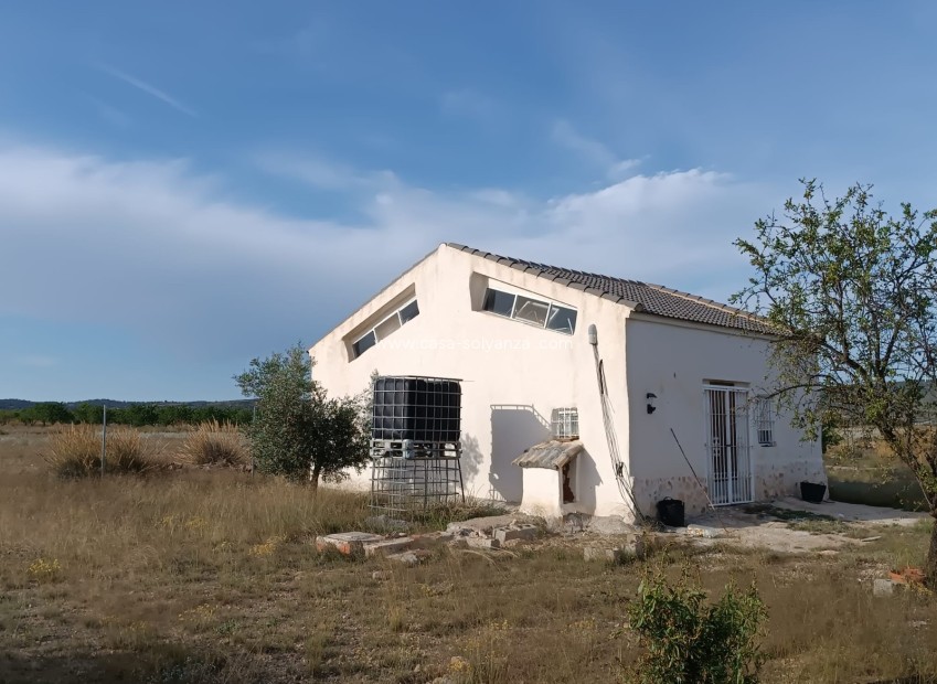 Wiederverkauf - Country Property/Finca - Yecla - Inland