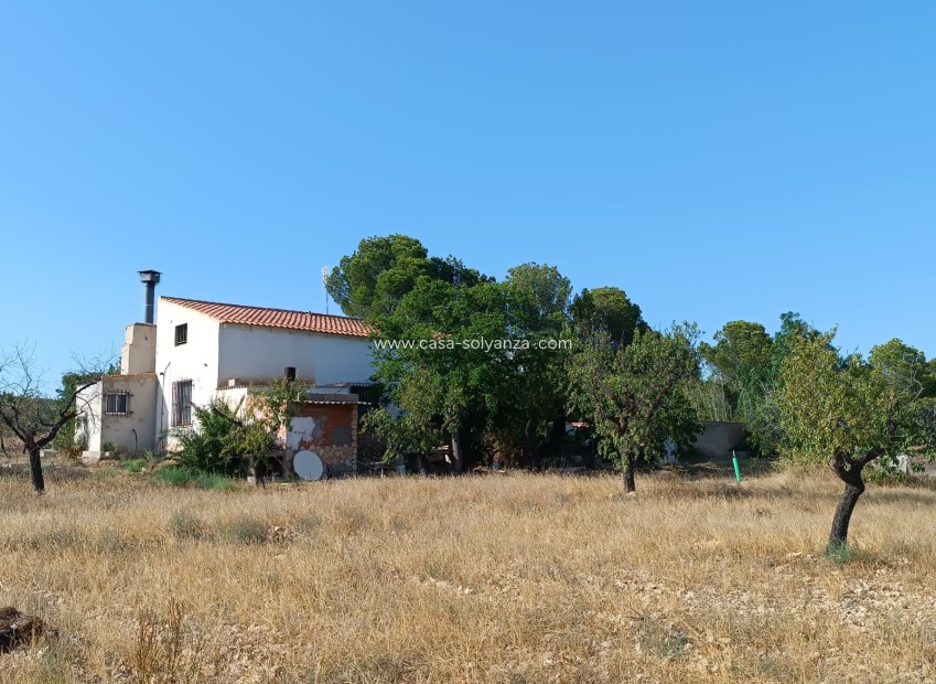 Wiederverkauf - Country Property/Finca - Yecla - Inland