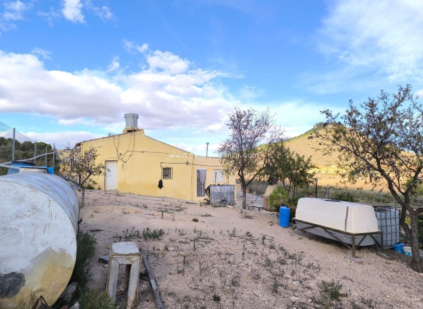 Wiederverkauf - Country Property/Finca - Yecla - Inland