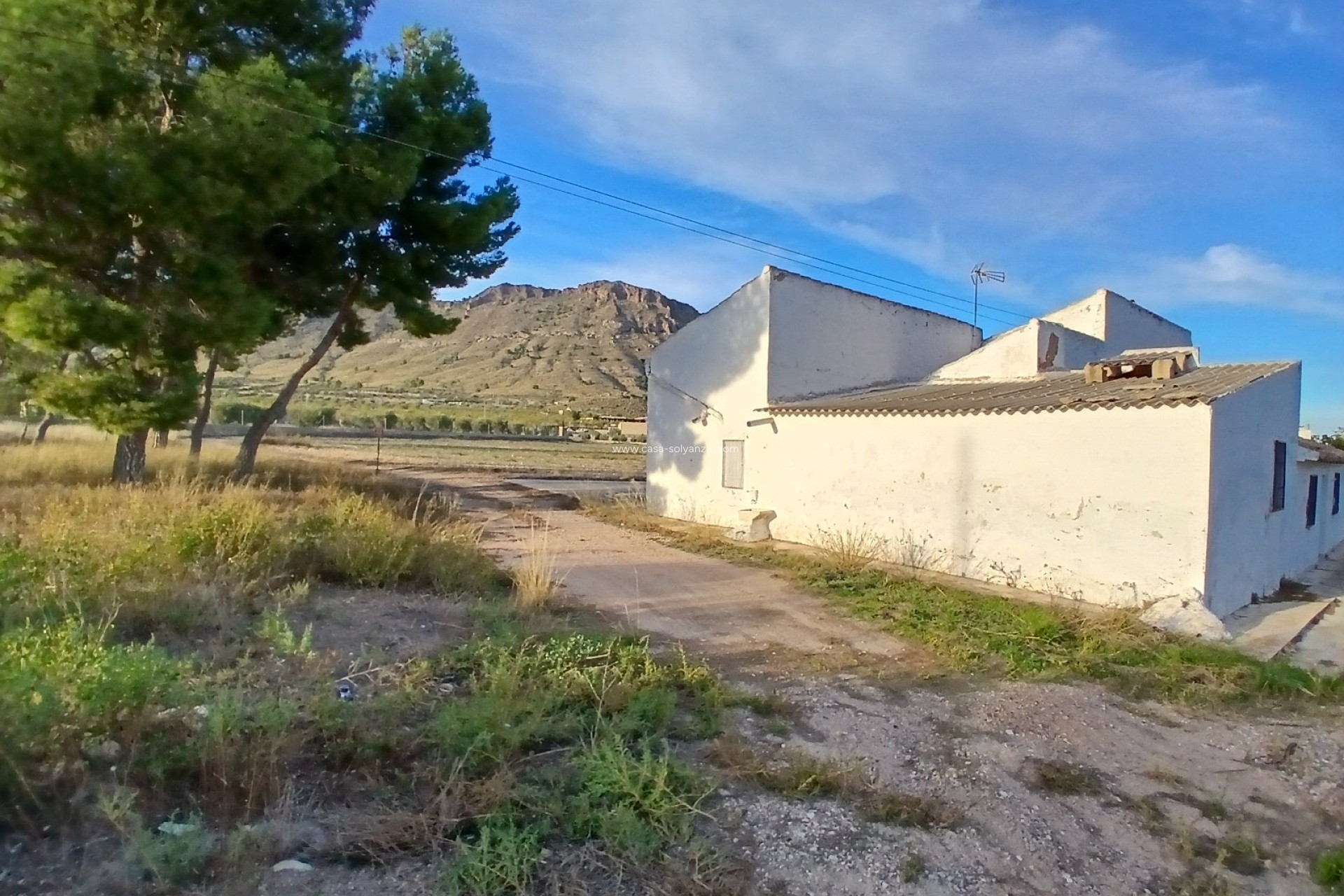 Wiederverkauf - Country Property/Finca - Yecla - Inland