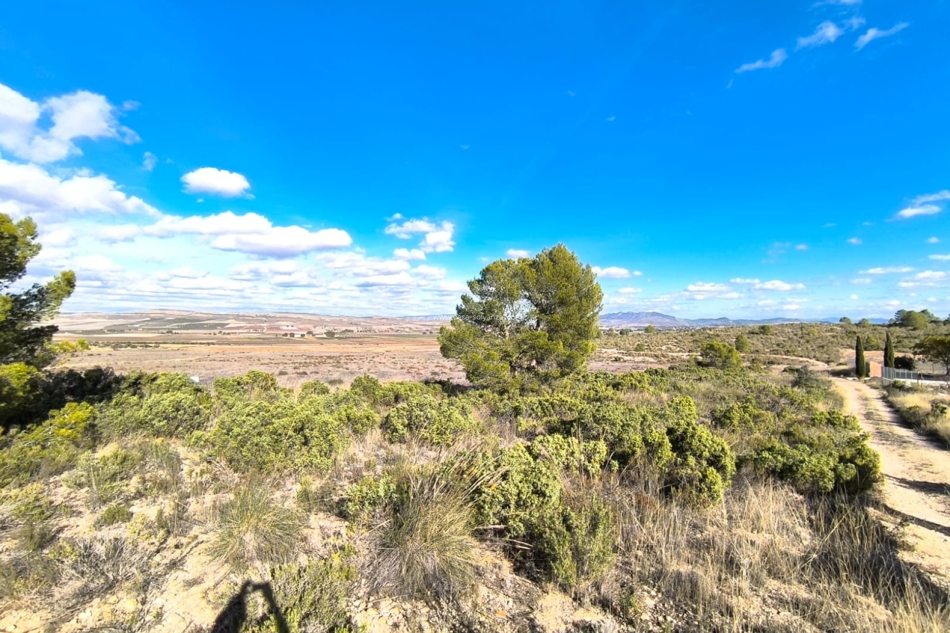 Wiederverkauf - Country Property/Finca - Yecla - Inland