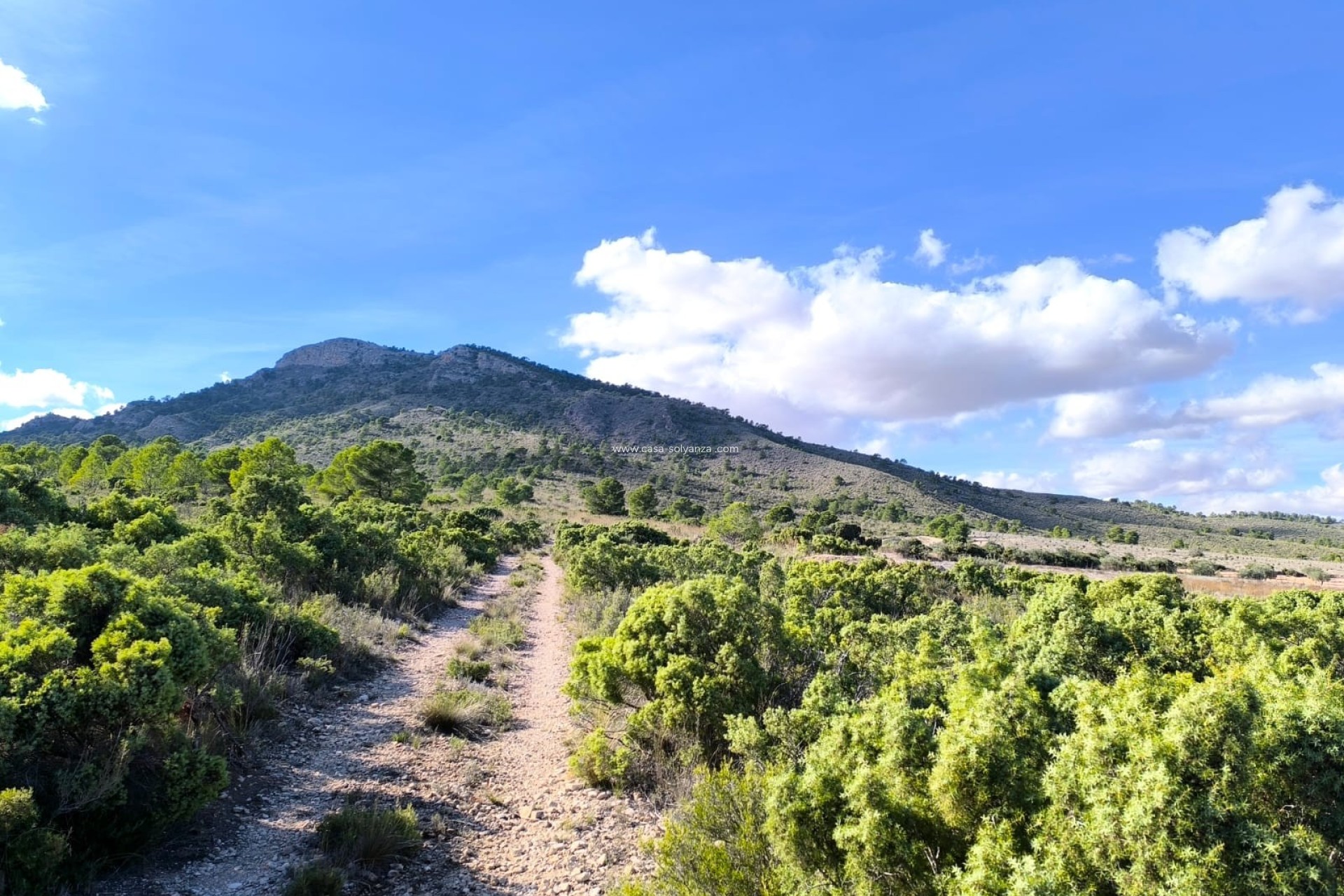 Wiederverkauf - Country Property/Finca - Yecla - Inland