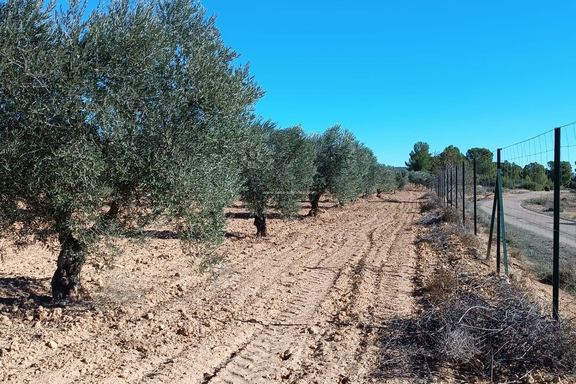 Wiederverkauf - Country Property/Finca - Yecla - Inland