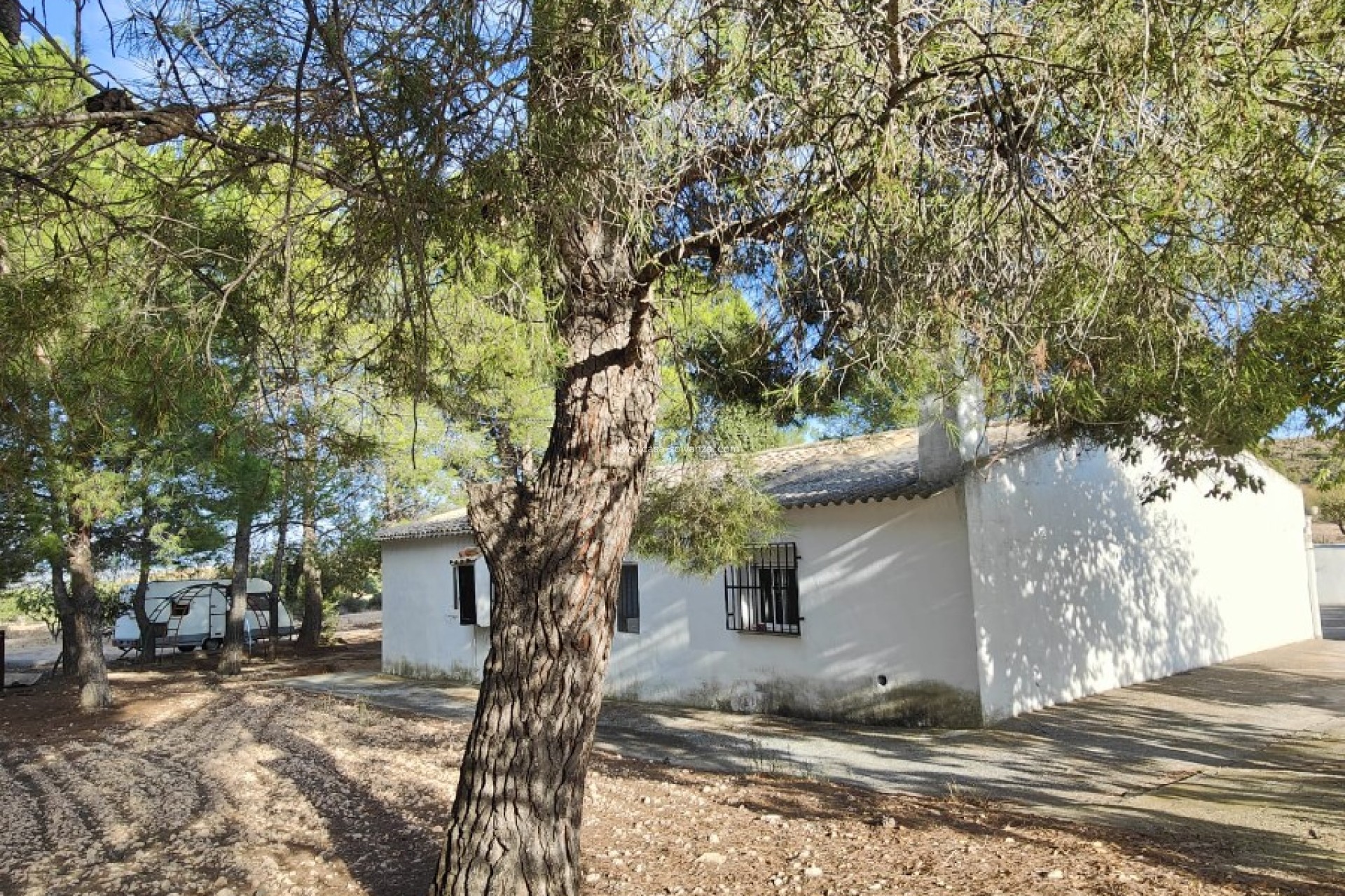 Wiederverkauf - Country Property/Finca - Yecla - Inland