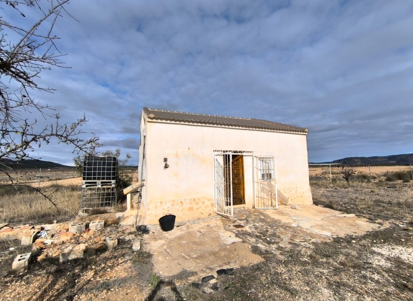 Wiederverkauf - Country Property/Finca - Yecla - Inland