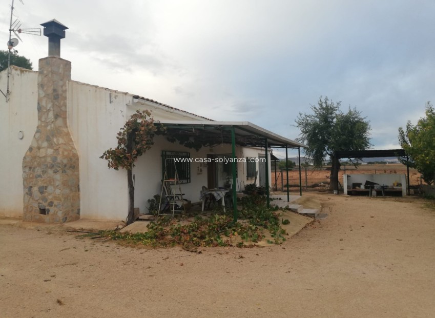 Wiederverkauf - Country Property/Finca - Yecla - Inland