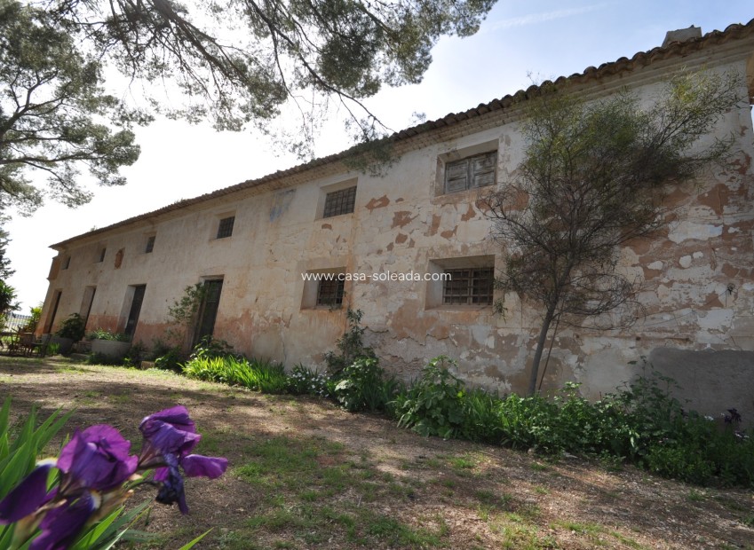 Wiederverkauf - Country Property/Finca - Yecla - Inland