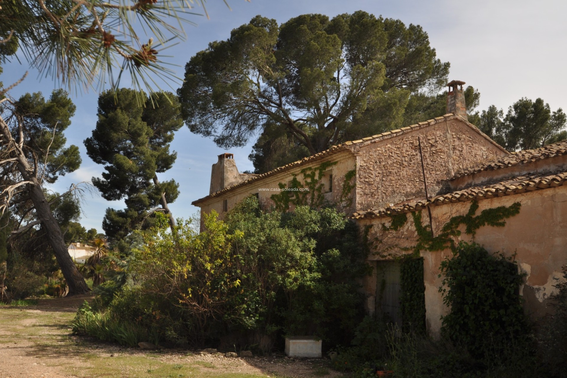 Wiederverkauf - Country Property/Finca - Yecla - Inland