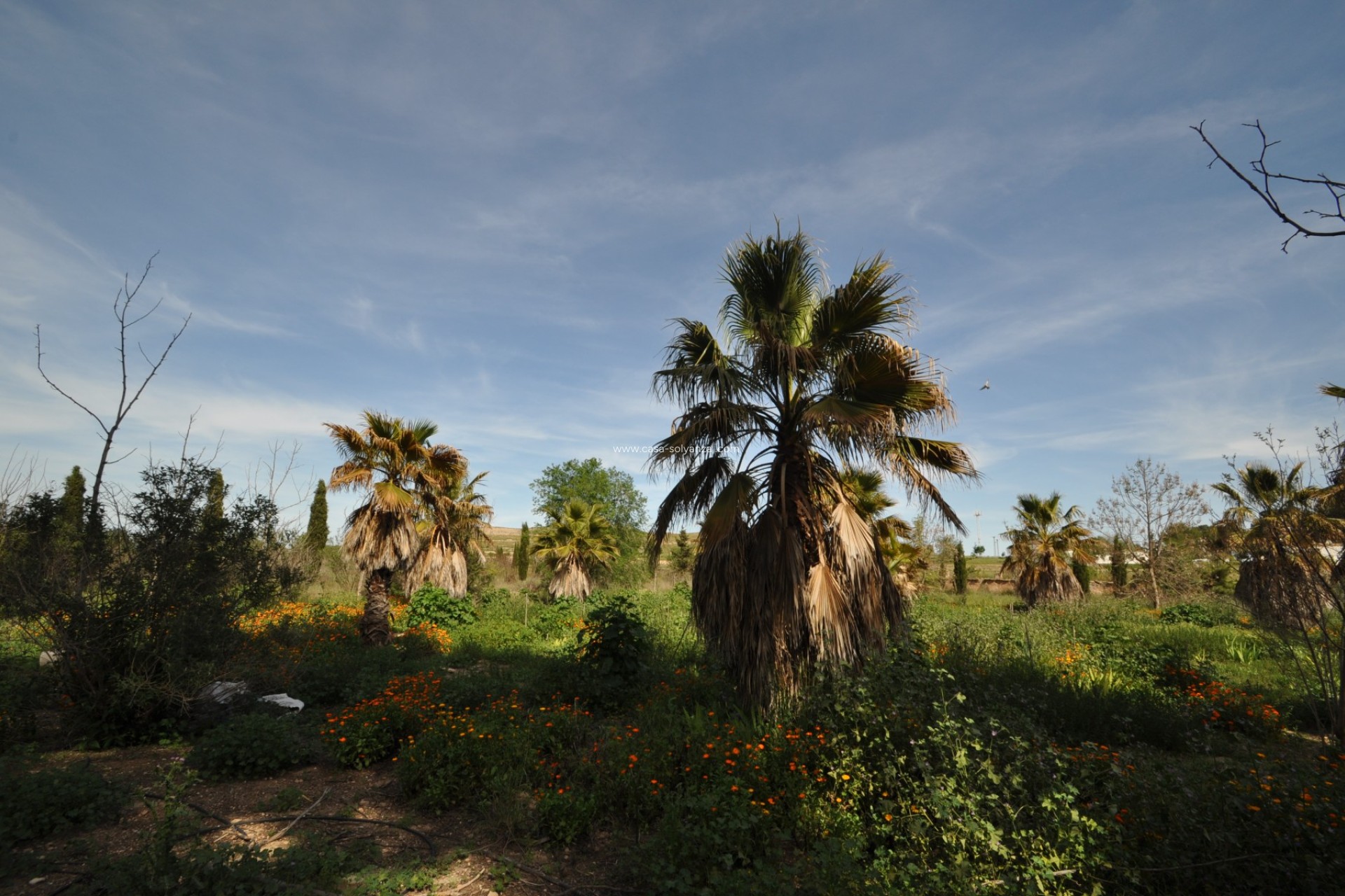 Wiederverkauf - Country Property/Finca - Yecla - Inland