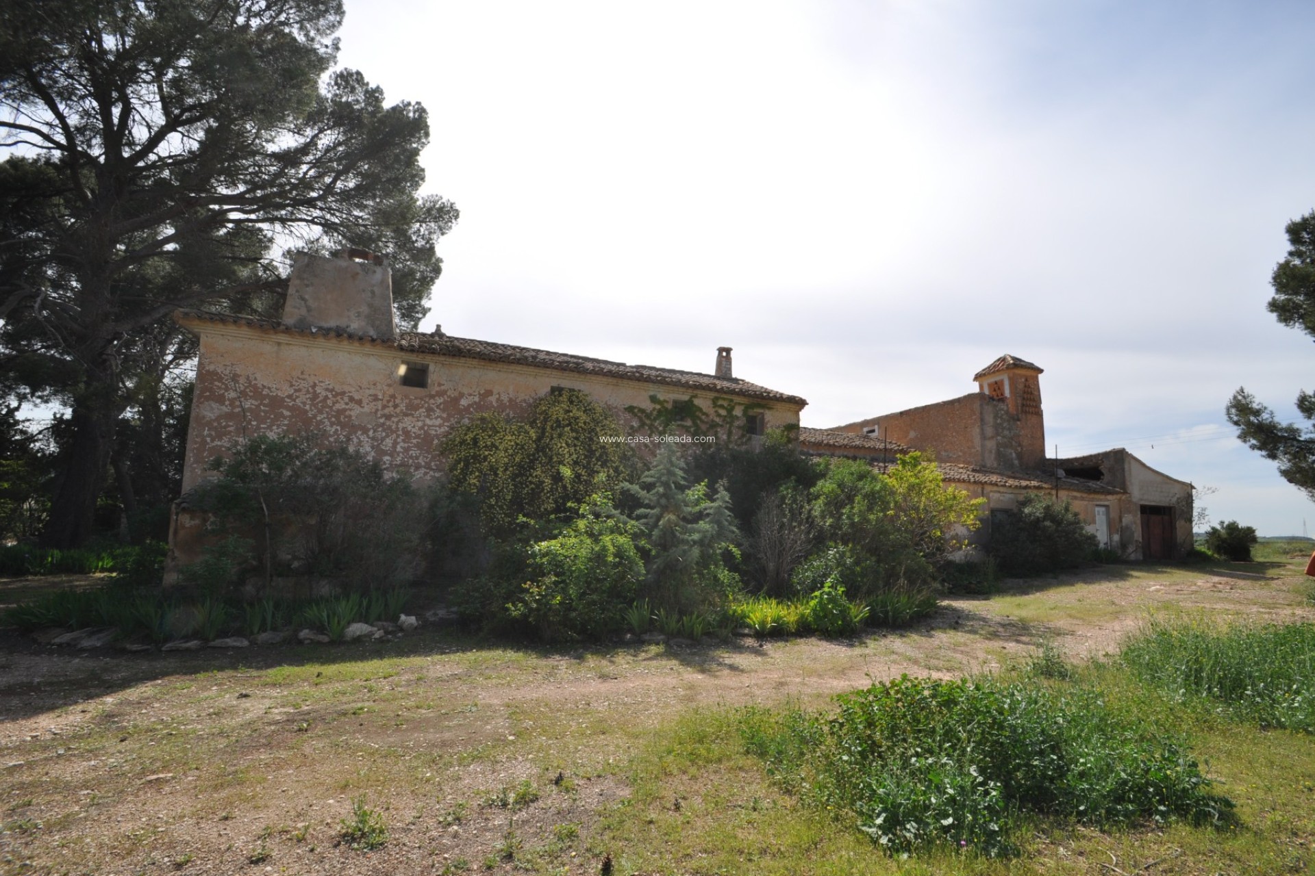 Wiederverkauf - Country Property/Finca - Yecla - Inland