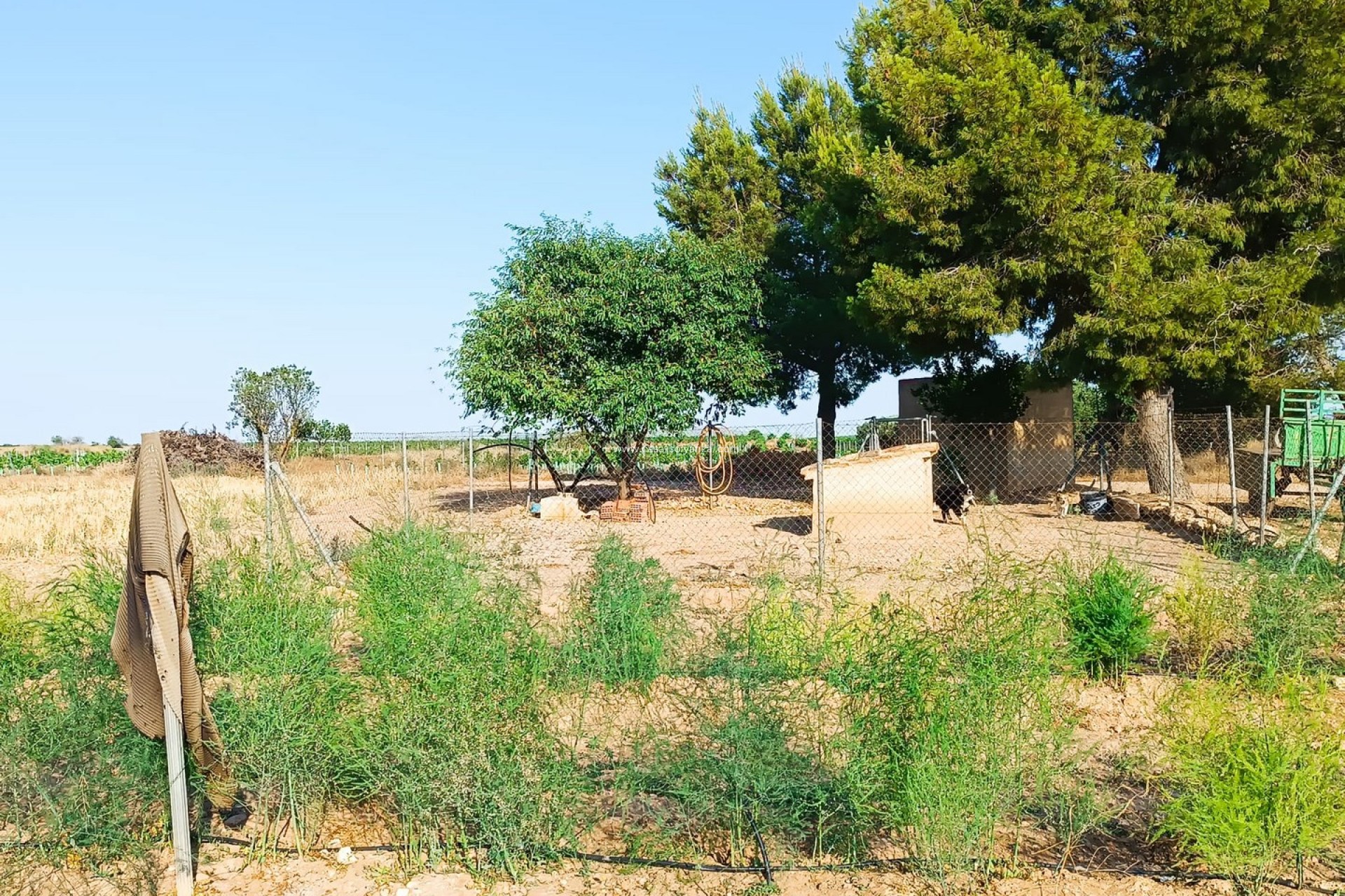 Wiederverkauf - Country Property/Finca - Yecla - Inland