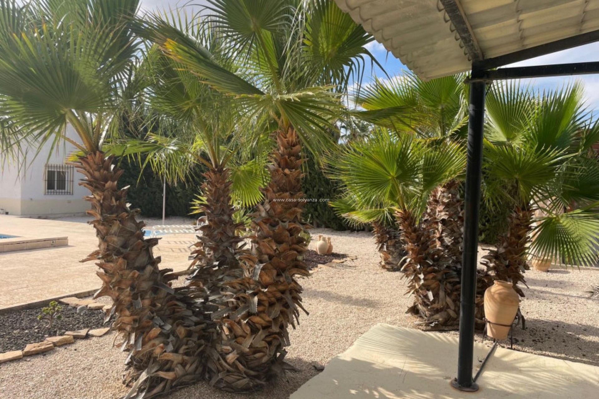 Wiederverkauf - Finca / Country Property - Abanilla