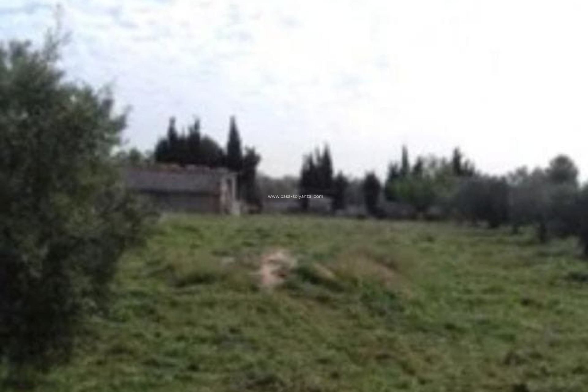 Wiederverkauf - Finca - Country Property - Caudete