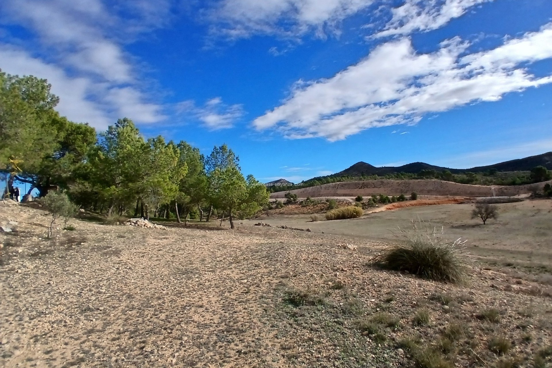 Wiederverkauf - Finca - Country Property - Caudete