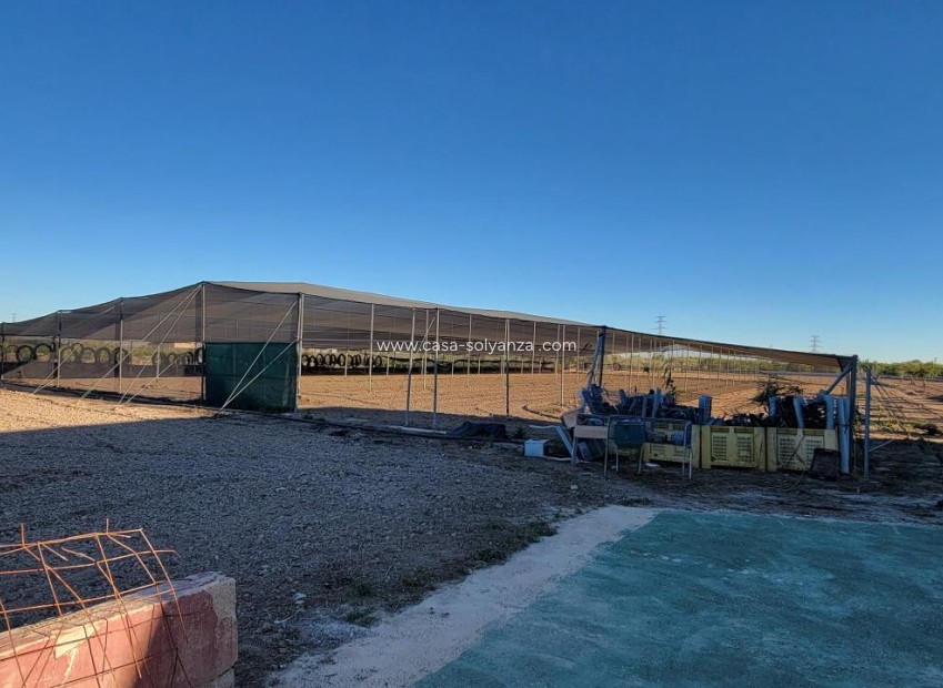 Wiederverkauf - Finca / Country Property - San Miguel de Salinas