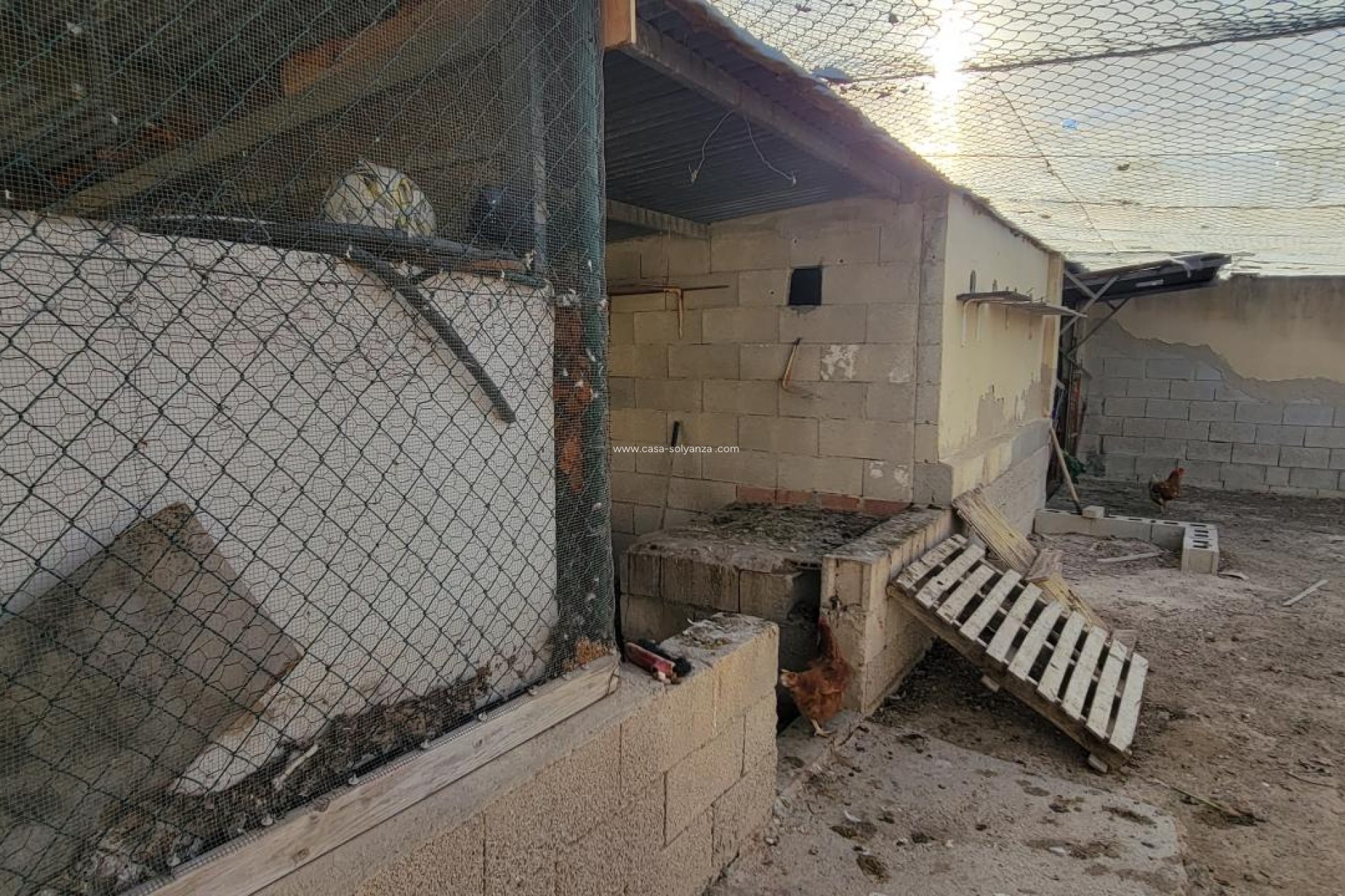 Wiederverkauf - Finca / Country Property - San Miguel de Salinas