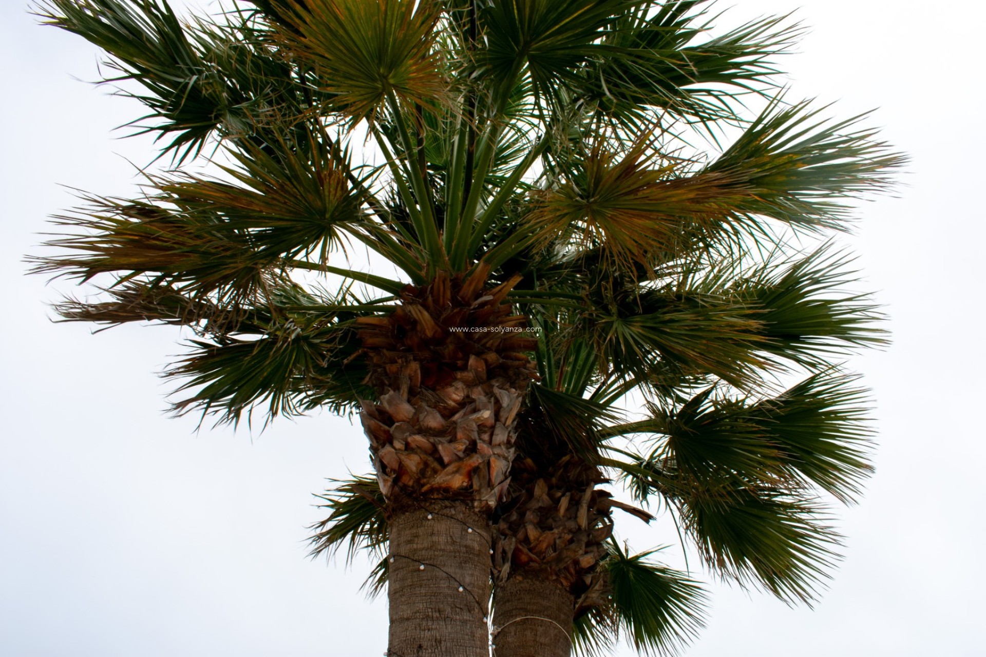 Wiederverkauf - Independent villa - Cartagena - La Manga del Mar Menor