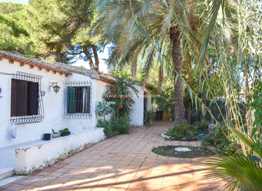 Wiederverkauf - Independent villa - Orihuela Costa - Punta Prima