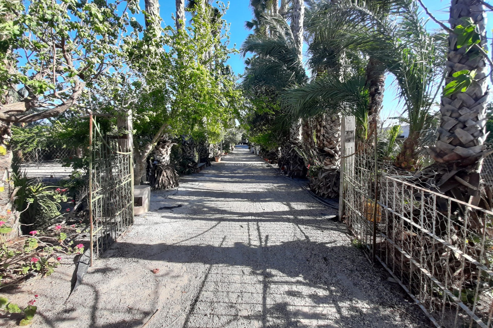 Wiederverkauf - Investment project - Orihuela