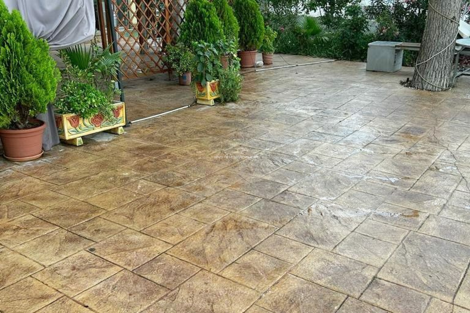 Wiederverkauf - Kommerziell - Almoradí - Inland