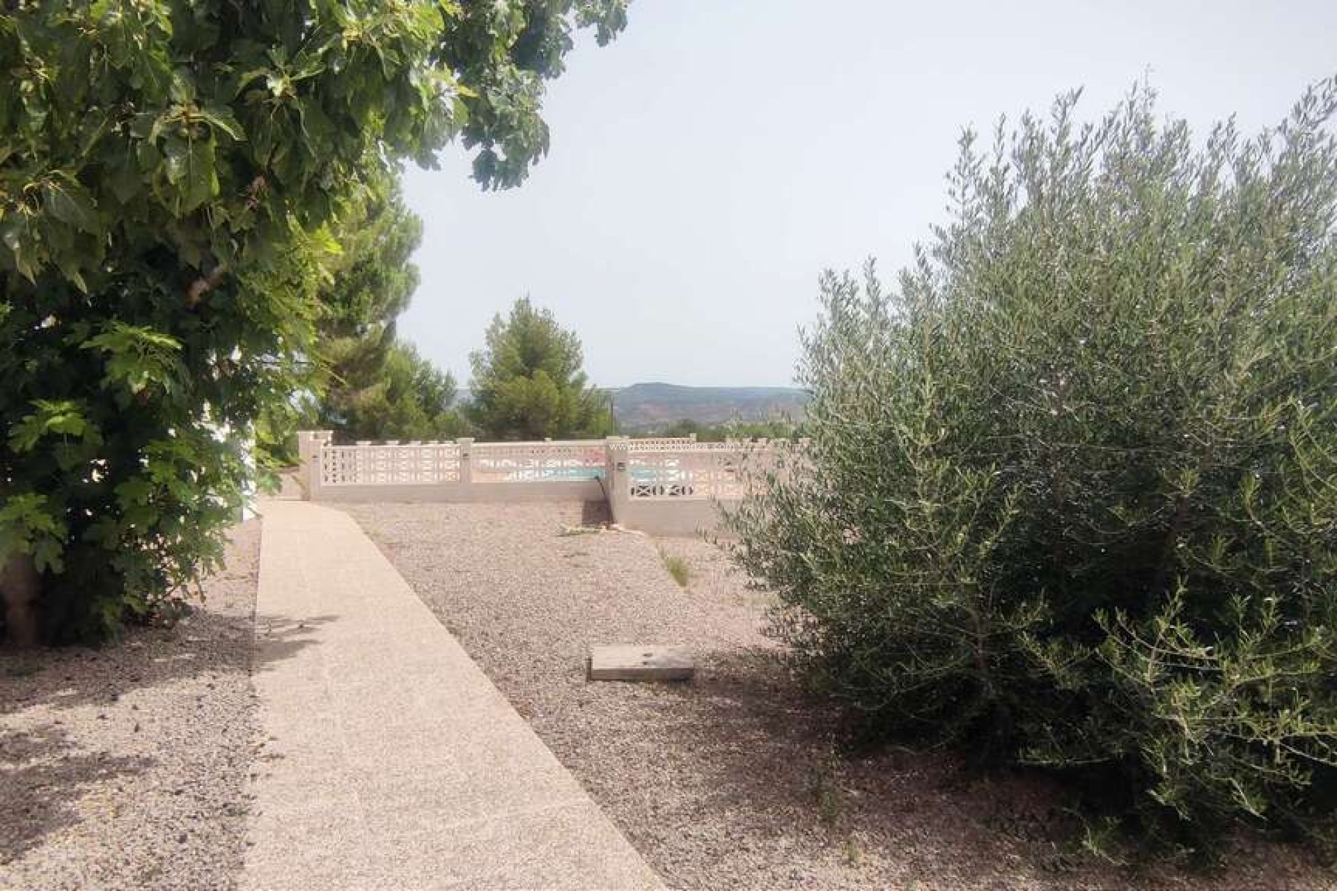 Wiederverkauf - Kommerziell - Ayora