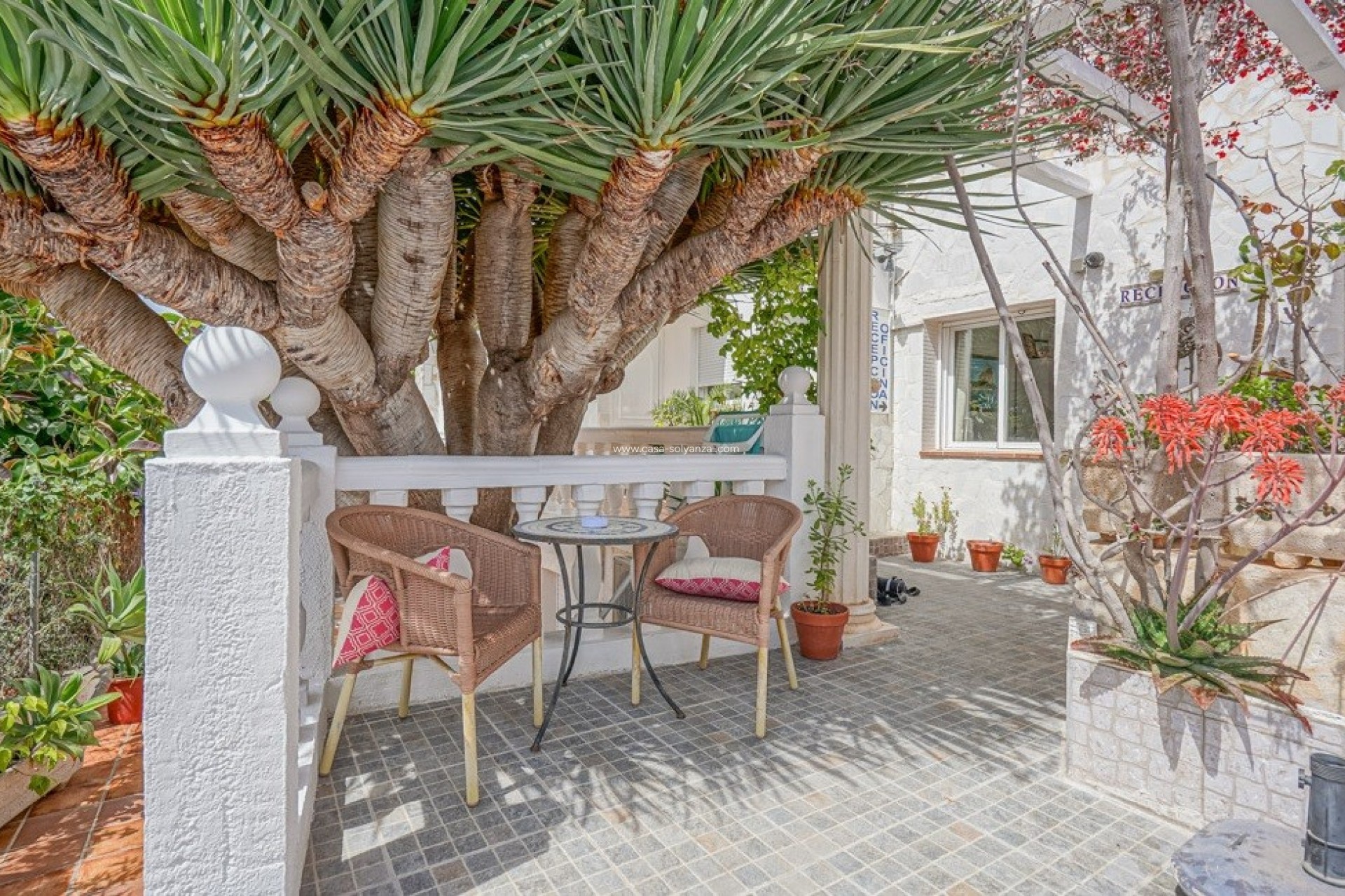 Wiederverkauf - Kommerziell - Calpe - Costa Blanca