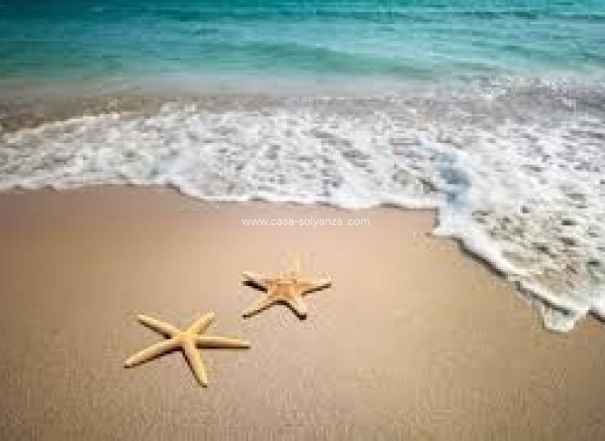 Wiederverkauf - Kommerziell - Murcia