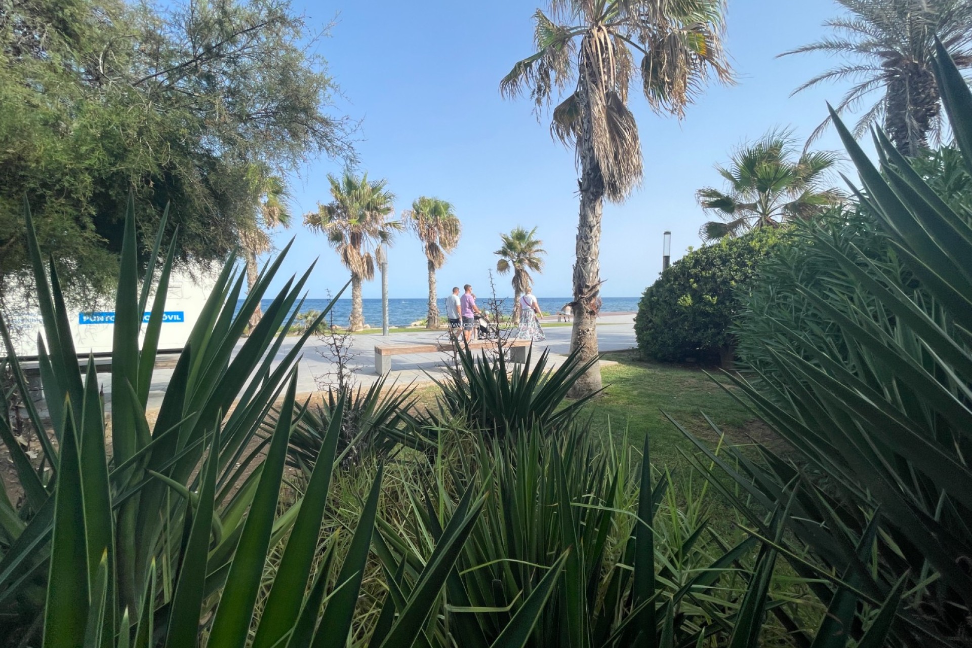 Wiederverkauf - Kommerziell - Torrevieja - Costa Blanca