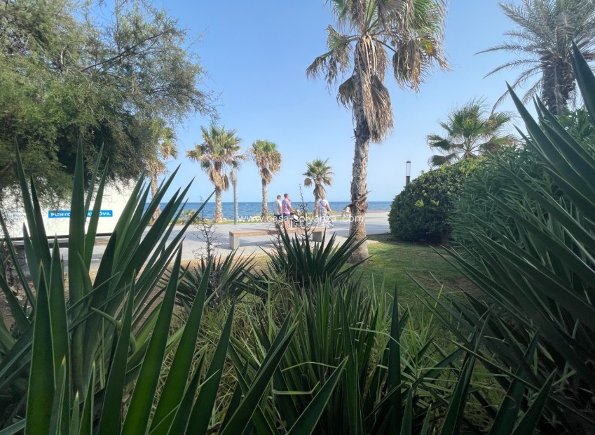 Wiederverkauf - Kommerziell - Torrevieja - Costa Blanca