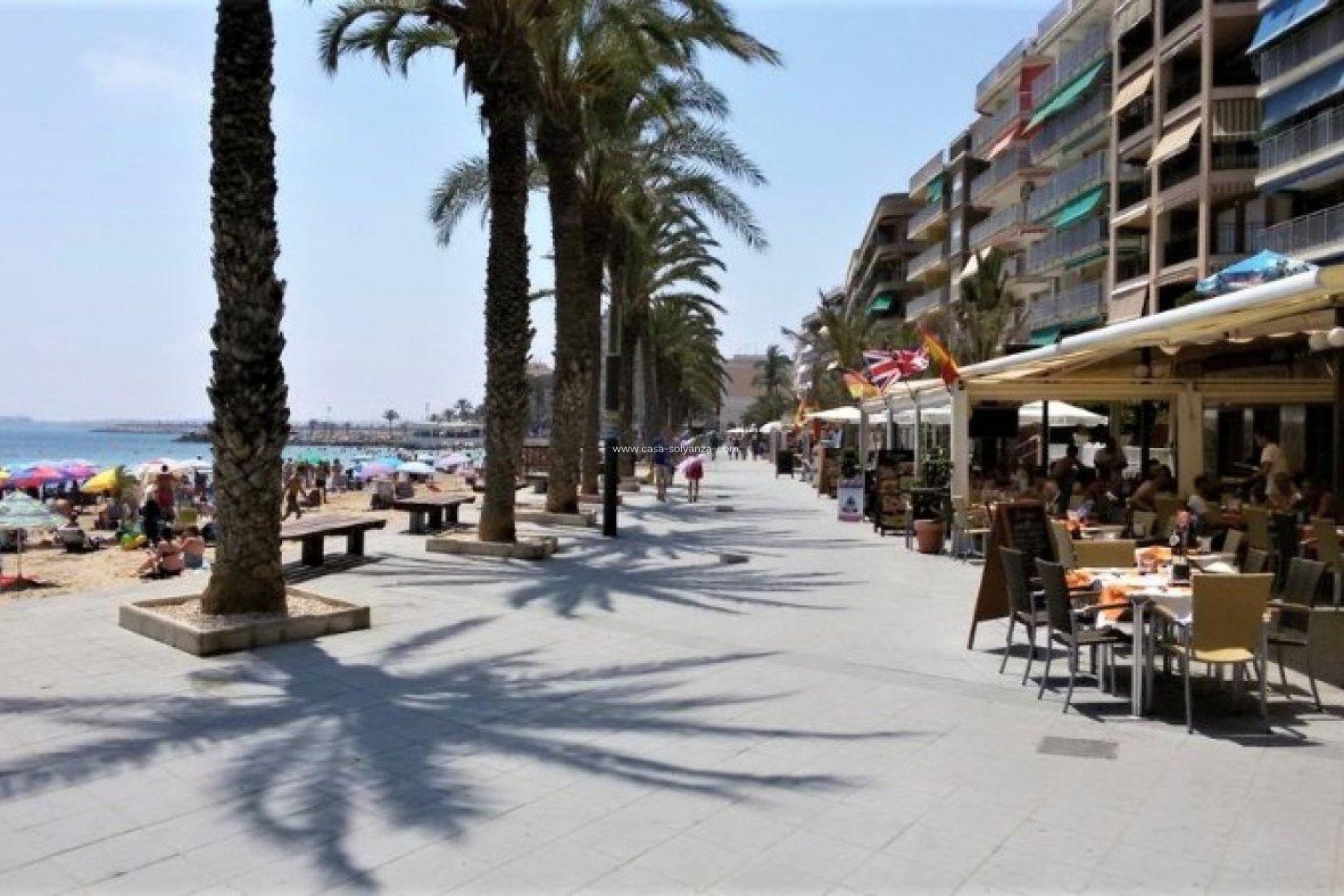 Wiederverkauf - Kommerziell - Torrevieja - Paseo Maritimo
