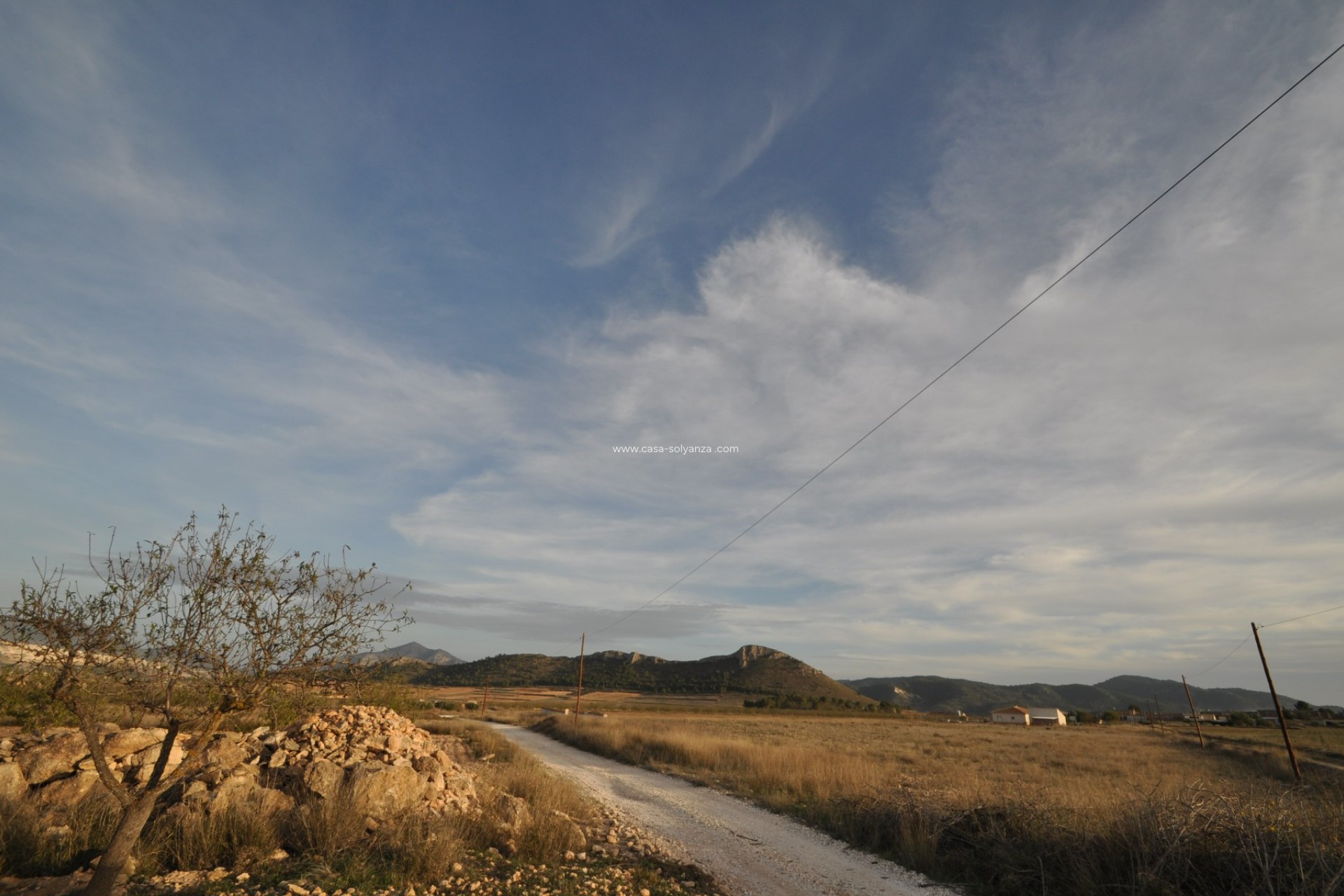 Wiederverkauf - Land - Abanilla - Inland