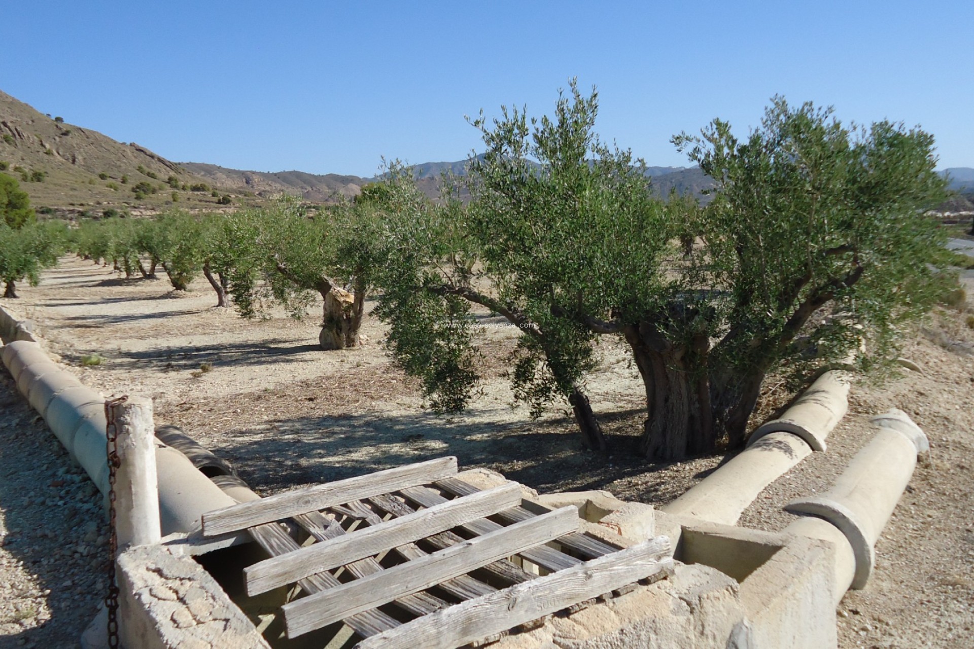 Wiederverkauf - Land - Abanilla - Inland