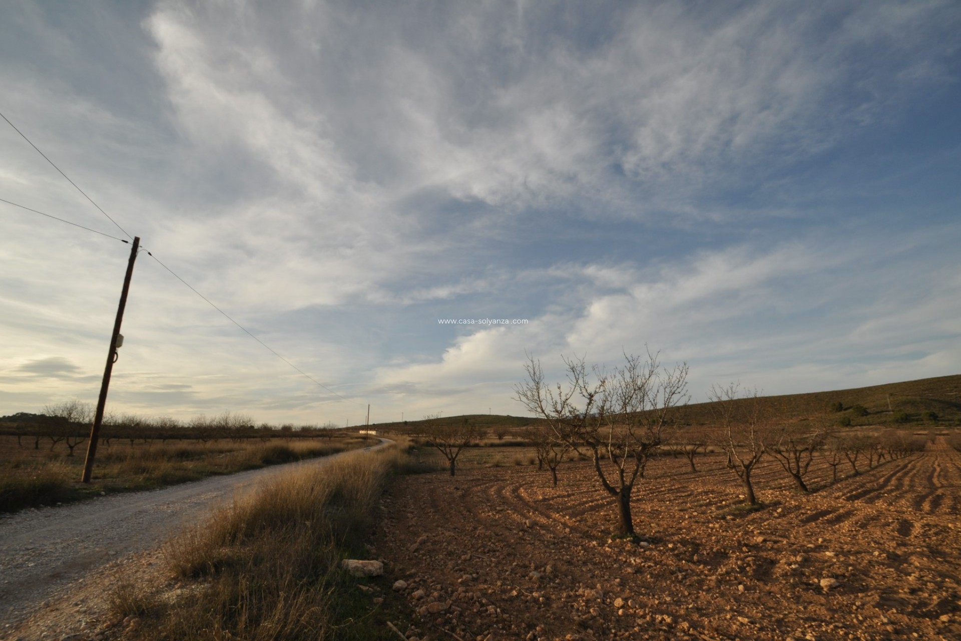 Wiederverkauf - Land - Abanilla - Inland