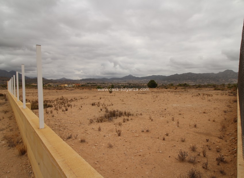 Wiederverkauf - Land - Abanilla