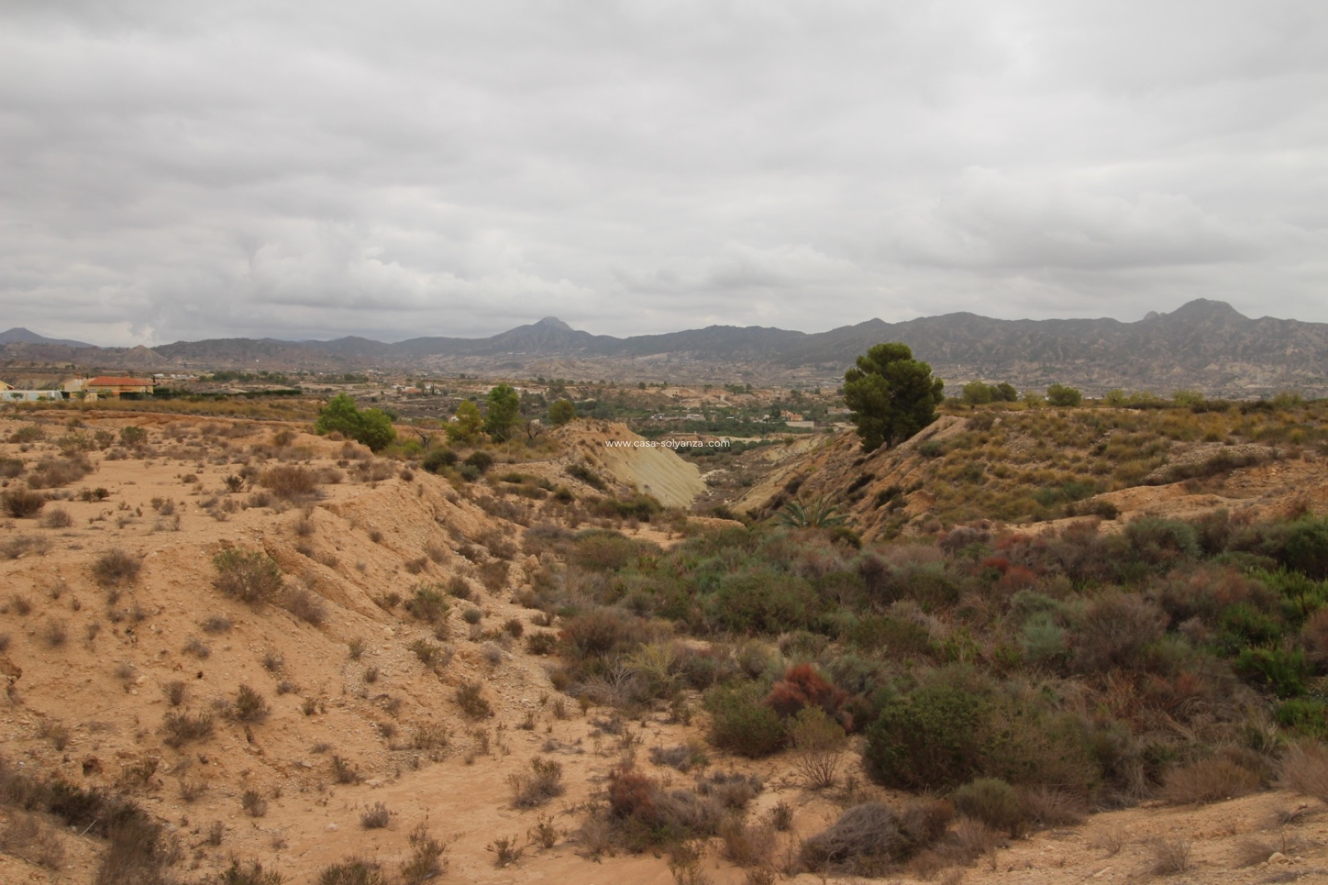 Wiederverkauf - Land - Abanilla