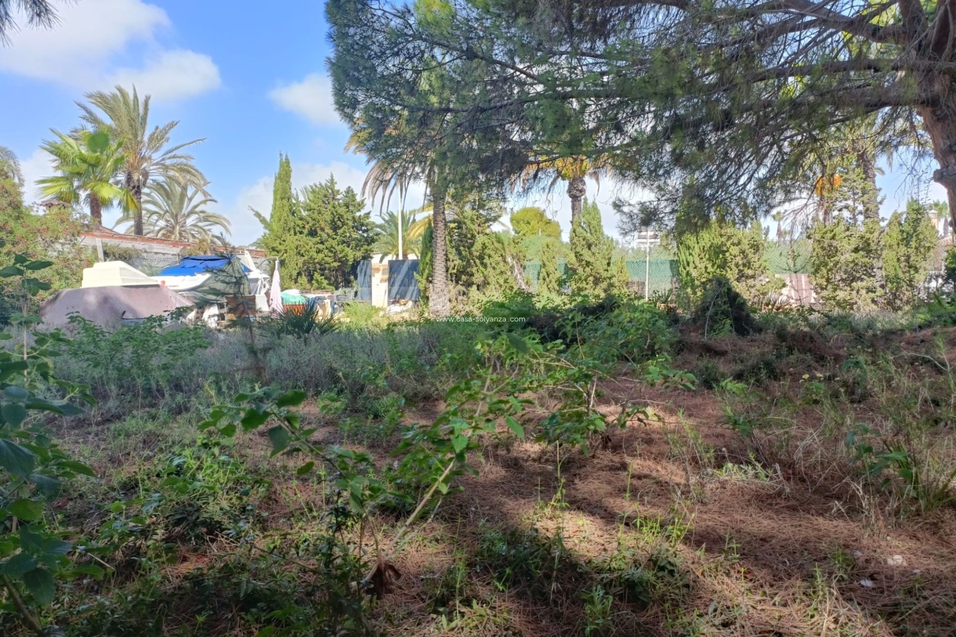 Wiederverkauf - Land - Cabo Roig - Costa Blanca