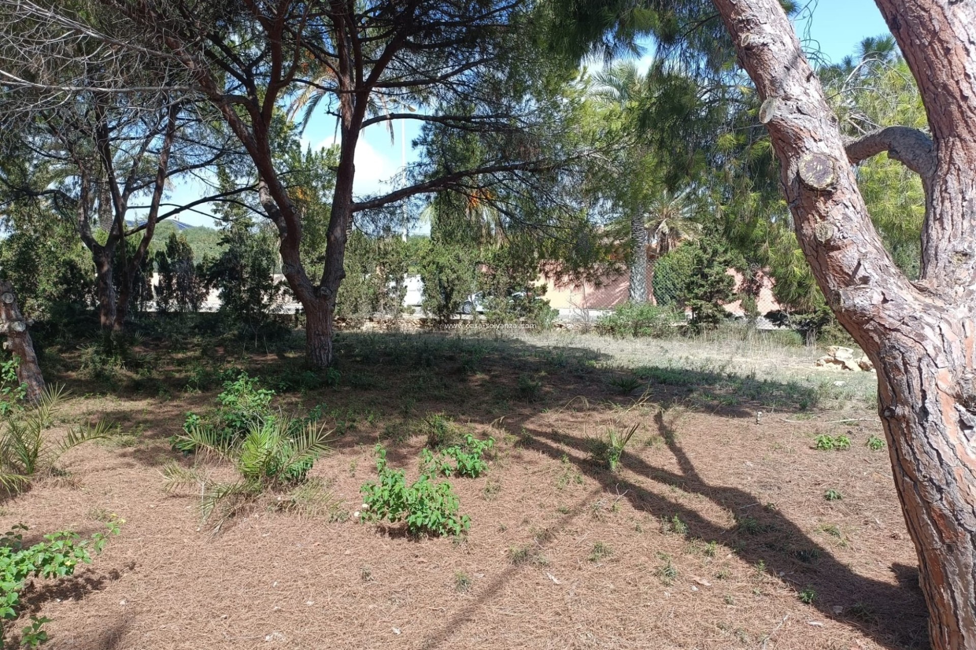 Wiederverkauf - Land - Cabo Roig - Costa Blanca