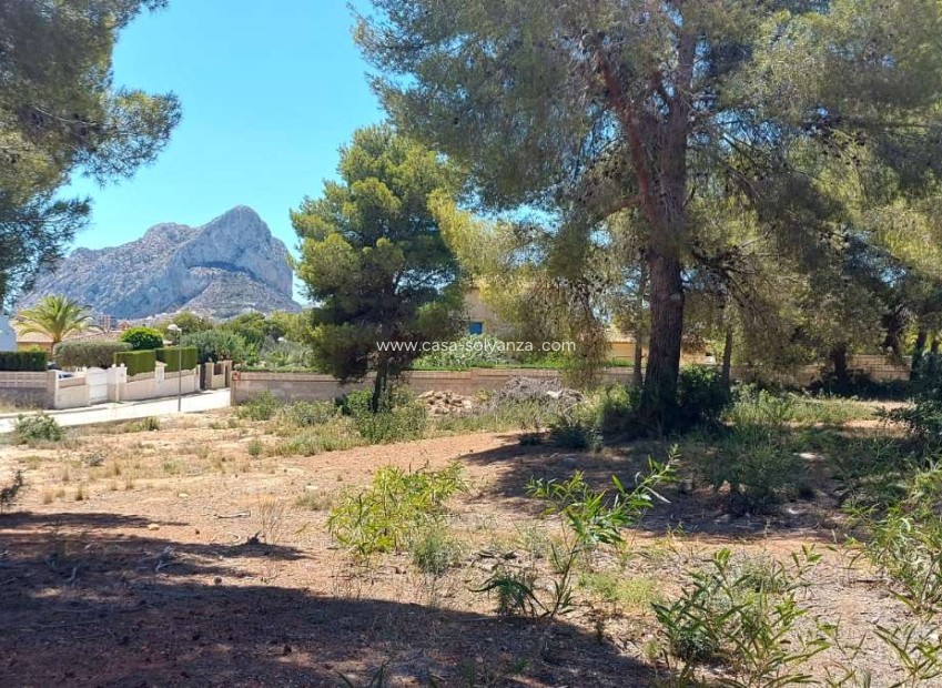 Wiederverkauf - Land - Calpe - Costa Blanca