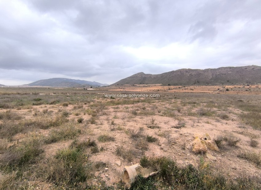 Wiederverkauf - Land - Canada De La Lena - Inland