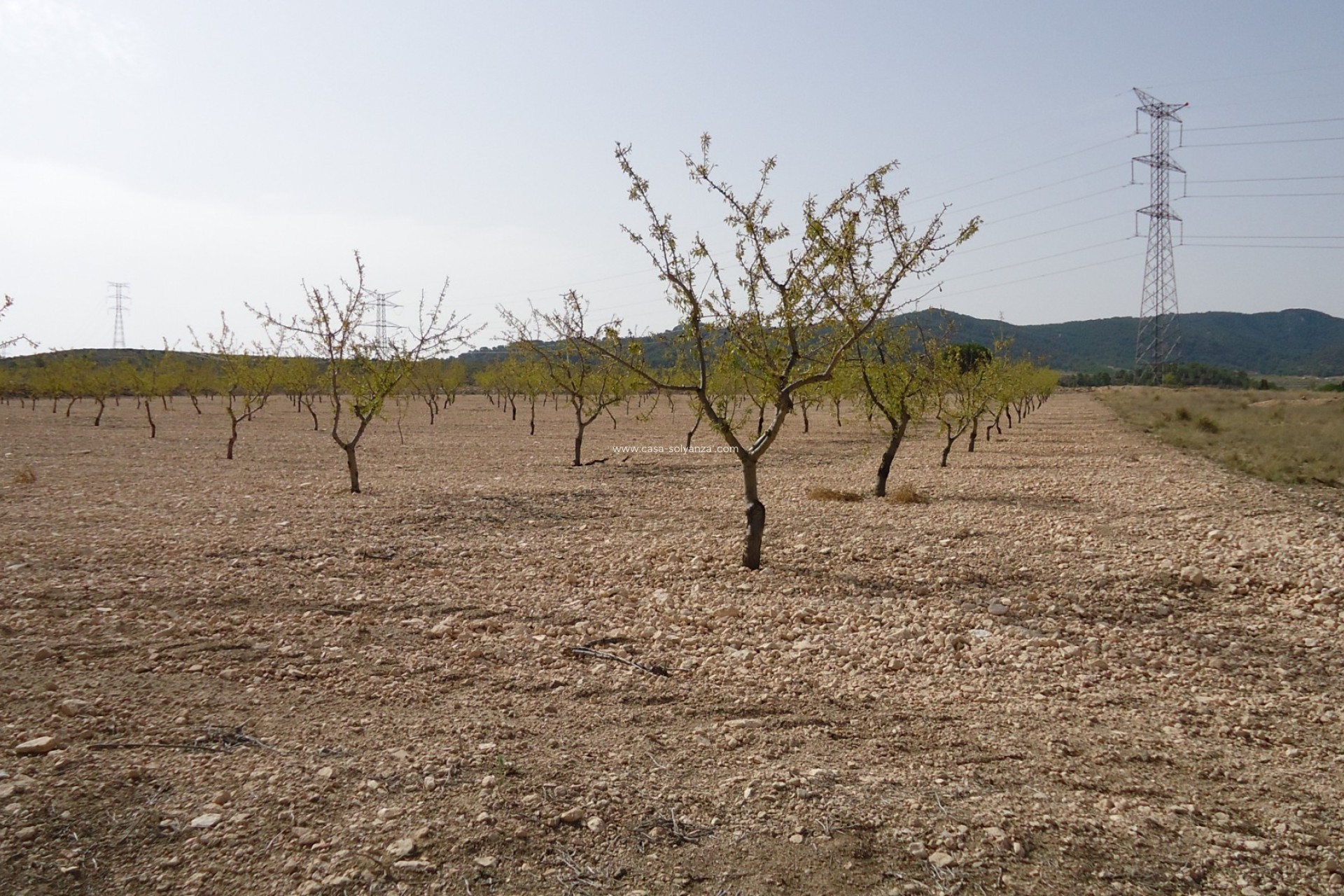 Wiederverkauf - Land - Canada del Trigo - Inland