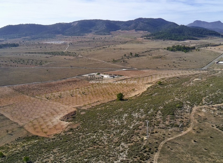 Wiederverkauf - Land - Canada del Trigo - Inland