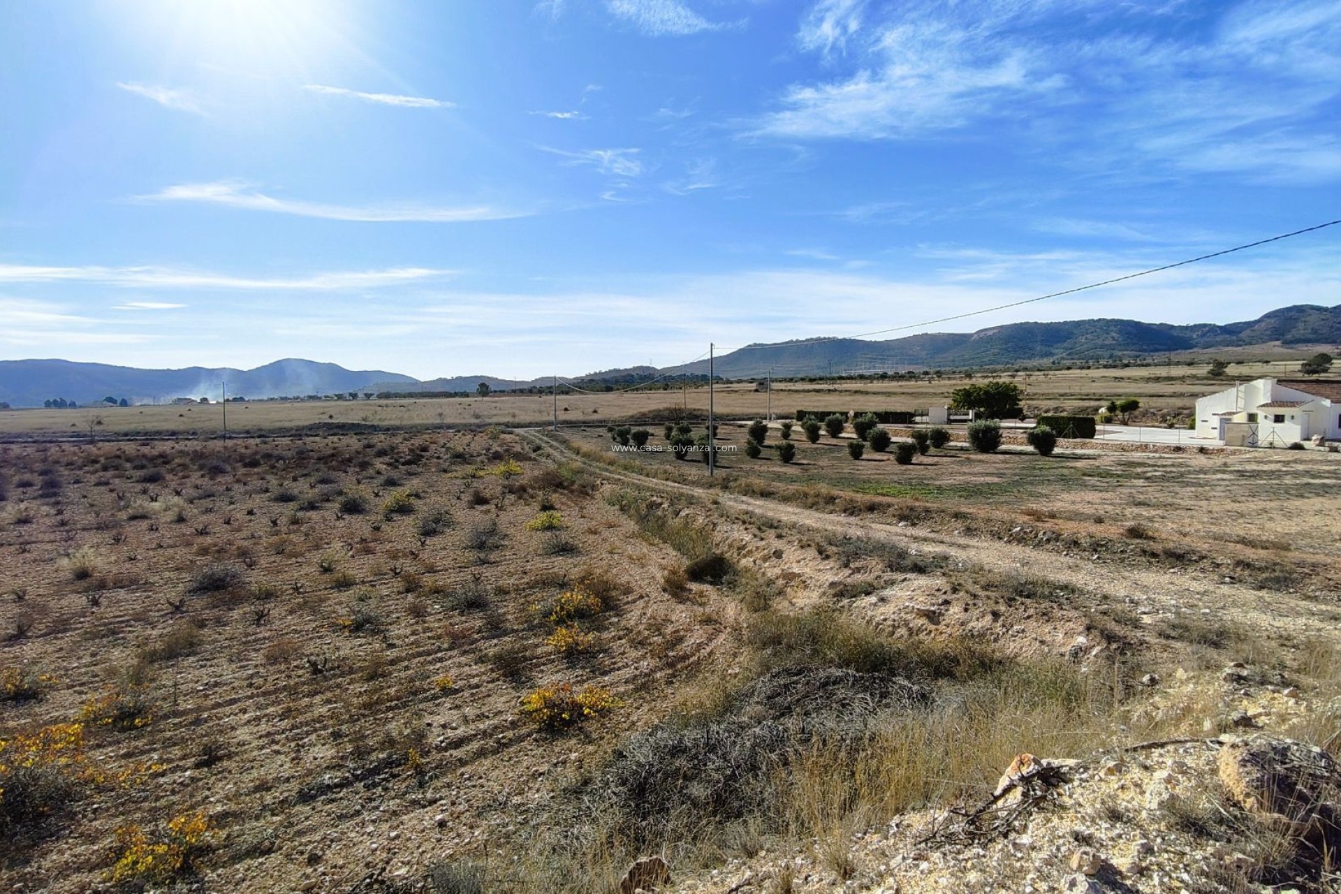 Wiederverkauf - Land - Canada del Trigo - Inland