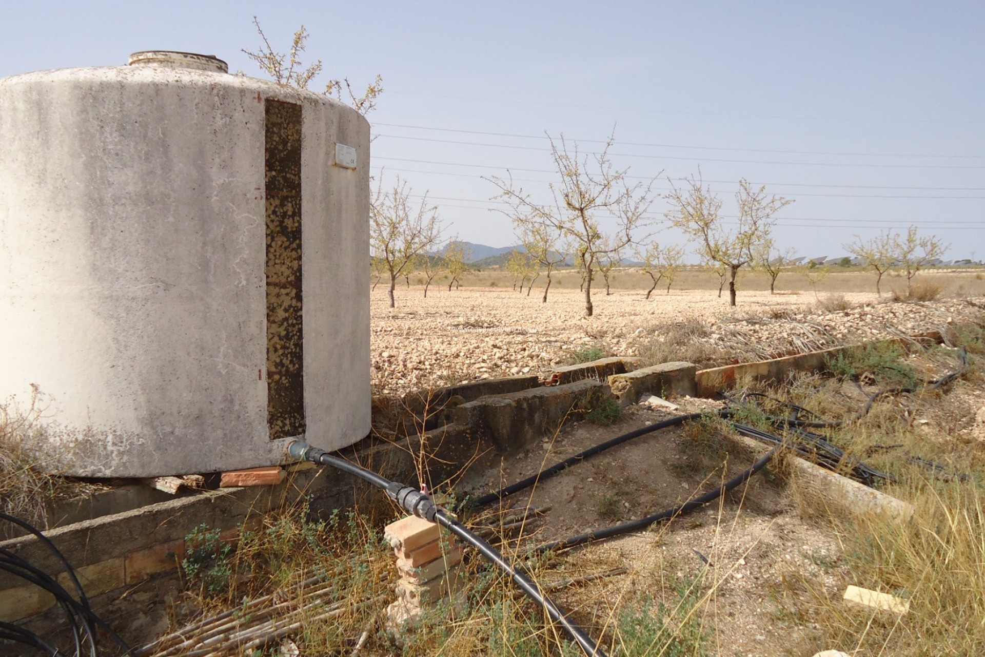 Wiederverkauf - Land - Canada del Trigo - Inland