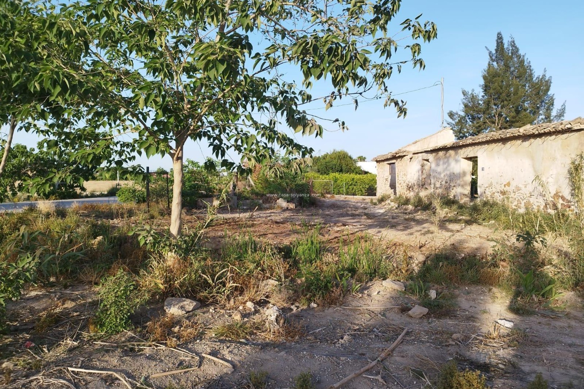 Wiederverkauf - Land - Catral