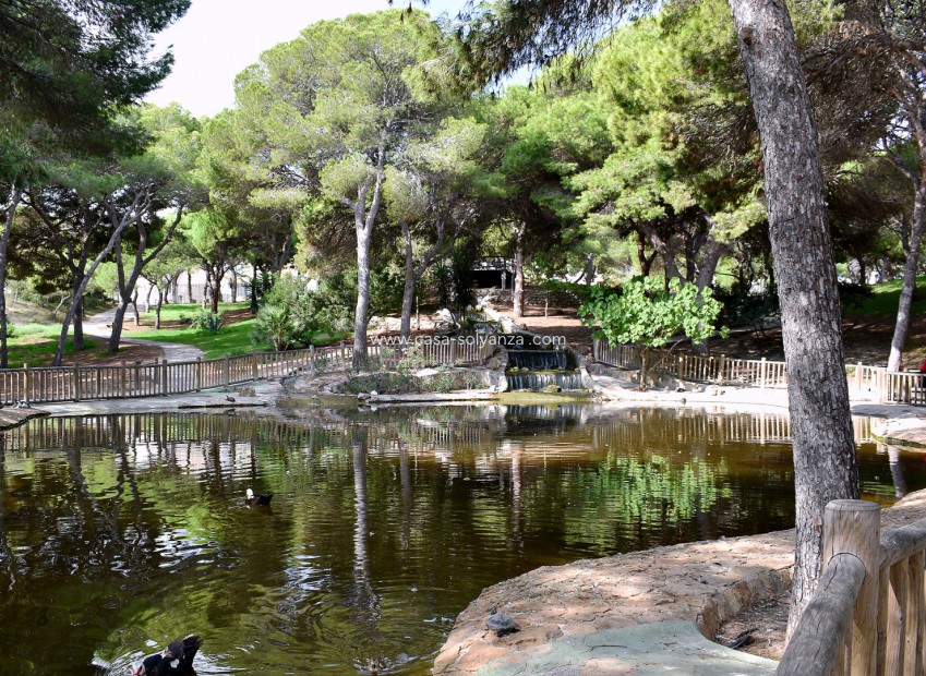 Wiederverkauf - Land - Guardamar del Segura