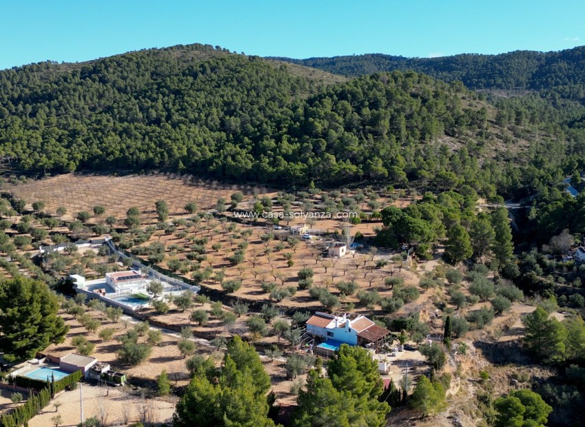 Wiederverkauf - Land - Ibi - Costa Blanca