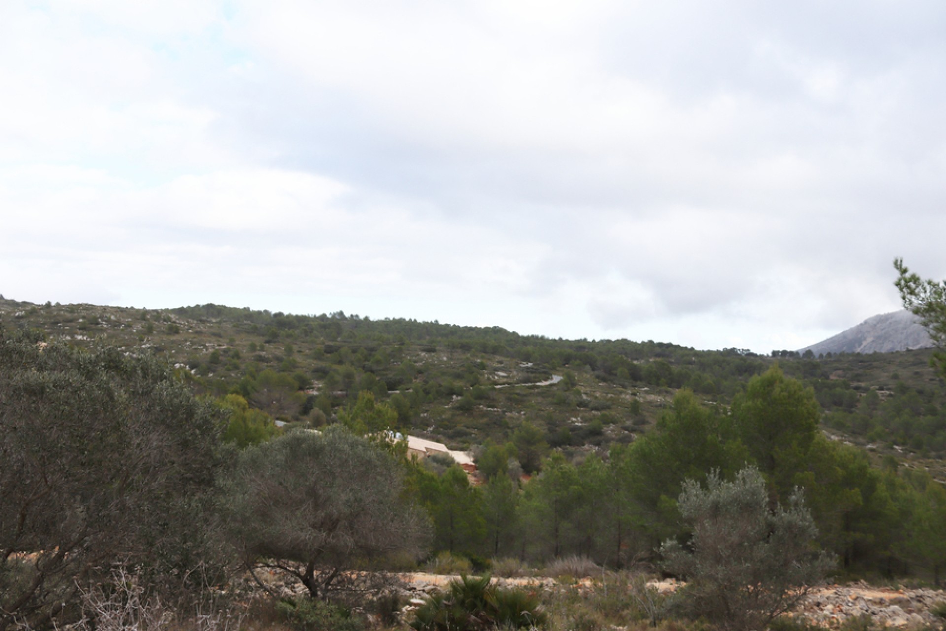 Wiederverkauf - Land - Jalón - Inland