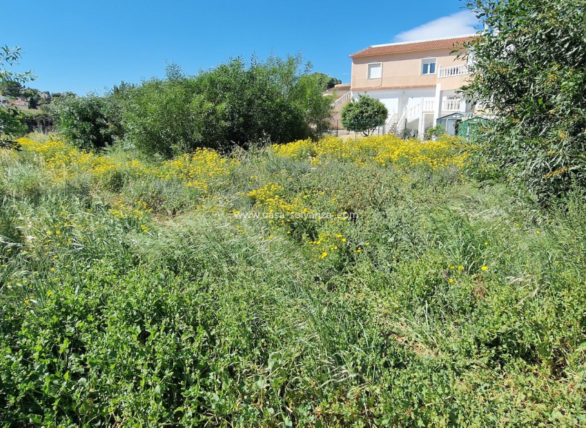 Wiederverkauf - Land - Los Balcones - Costa Blanca