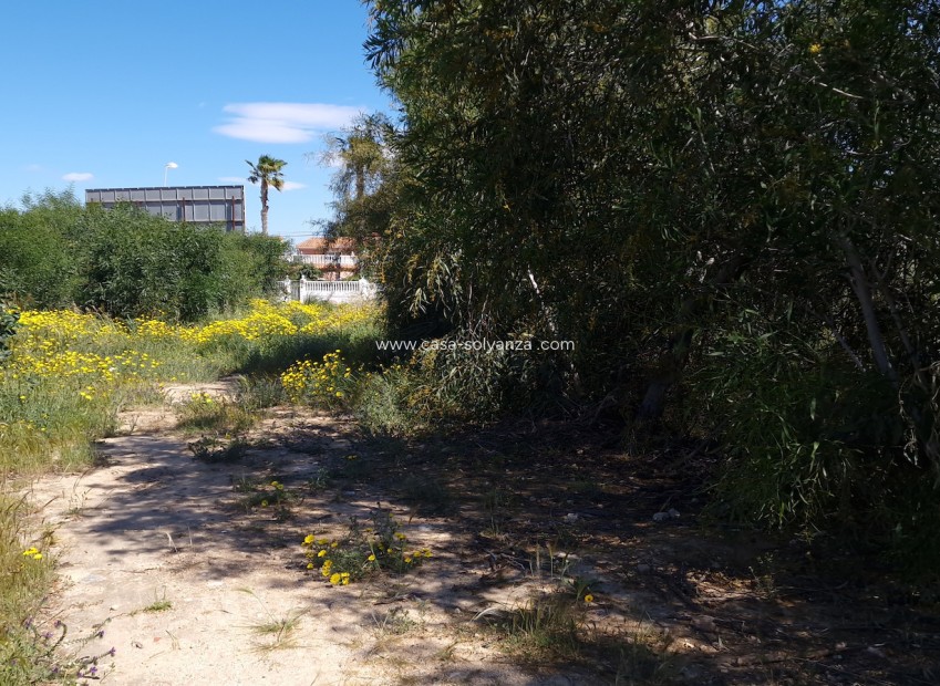 Wiederverkauf - Land - Los Balcones - Costa Blanca