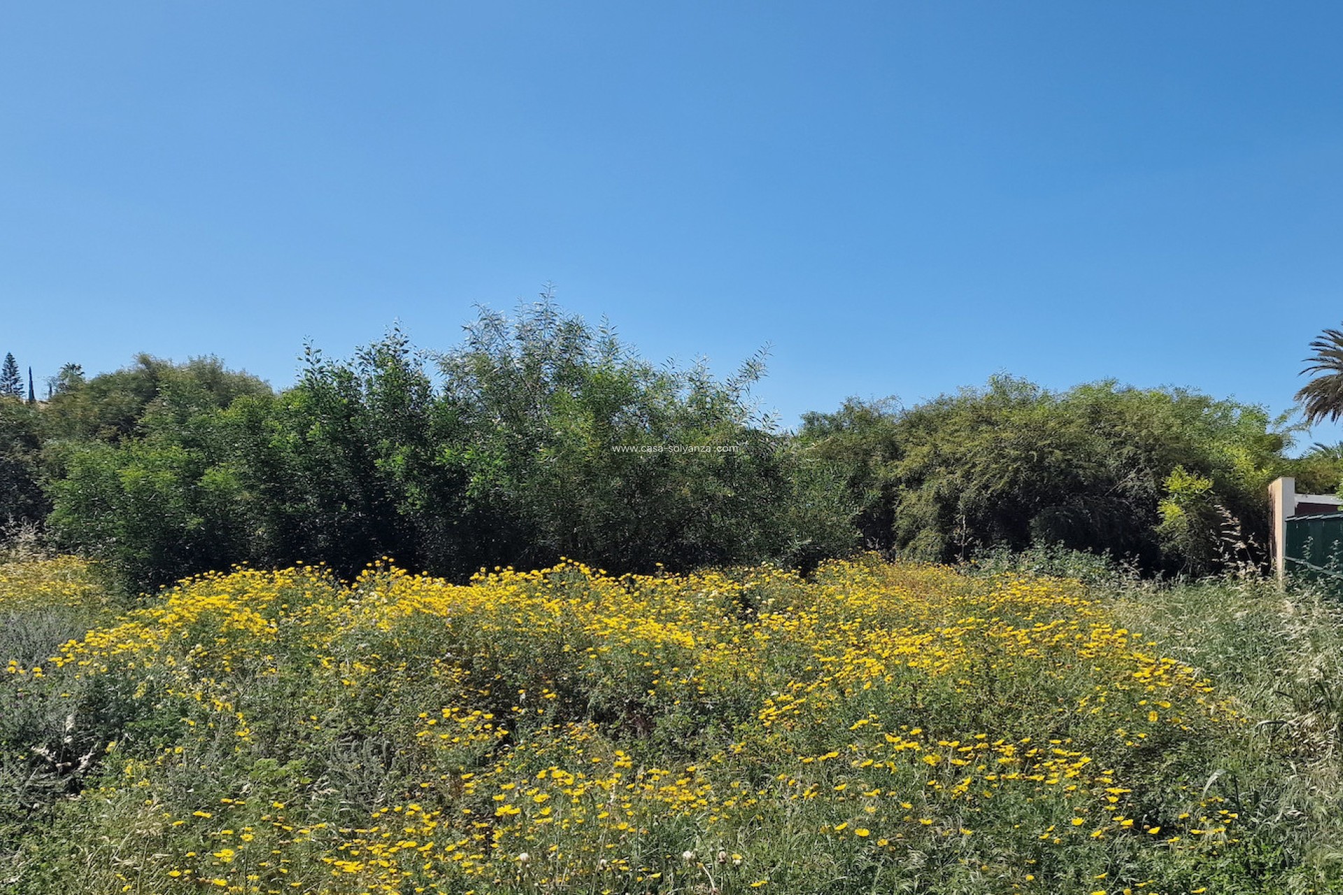Wiederverkauf - Land - Los Balcones - Costa Blanca